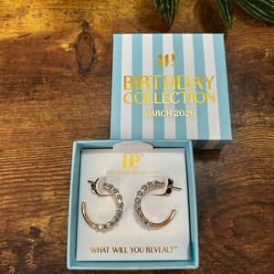 Bomb Party March 2026 Rose Gold Hoop Earrings